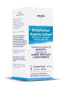 Bryophyllum Argento cultum